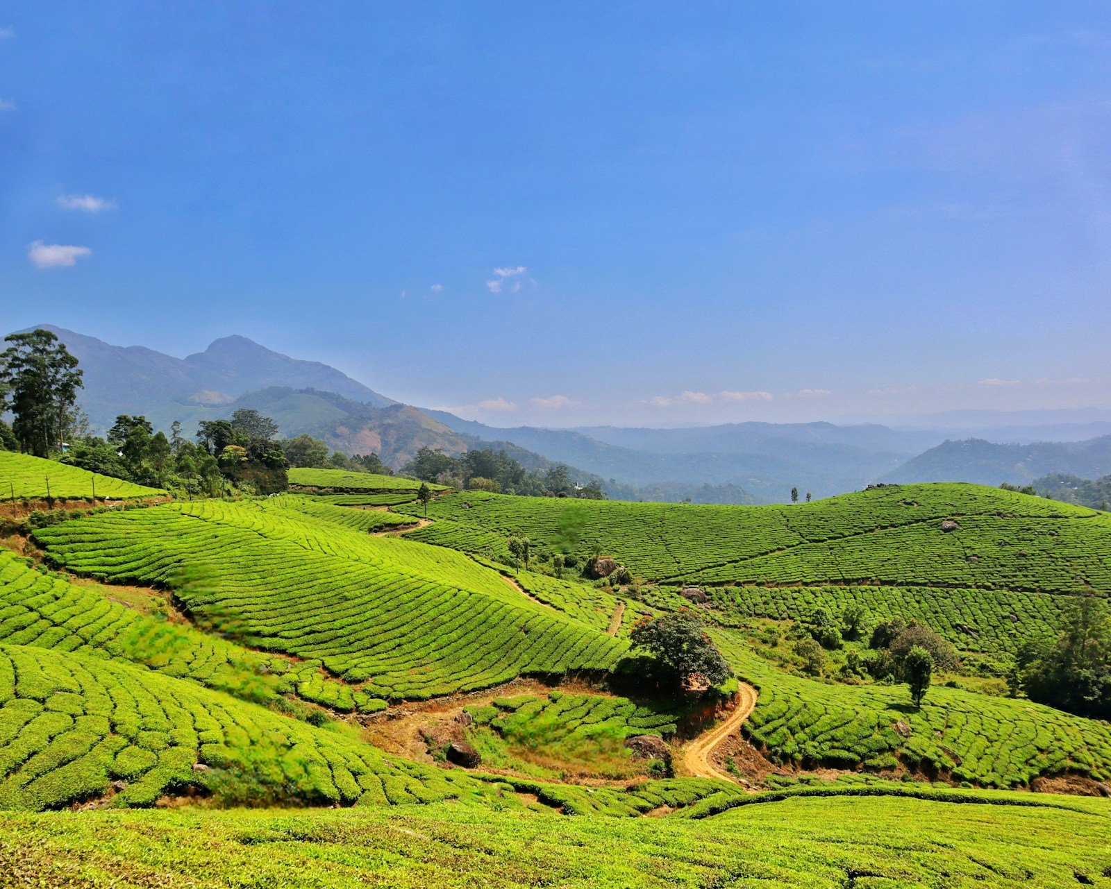 Munnar